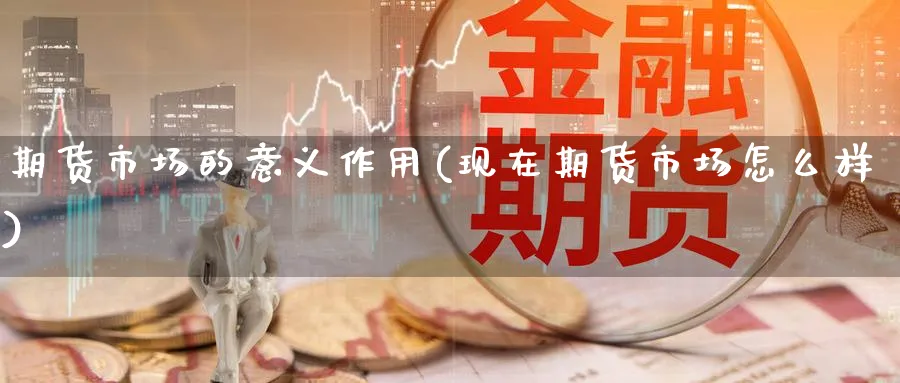 期货市场的意义作用(现在期货市场怎么样) (https://www.haizilaw.com/) 德指期货 第1张