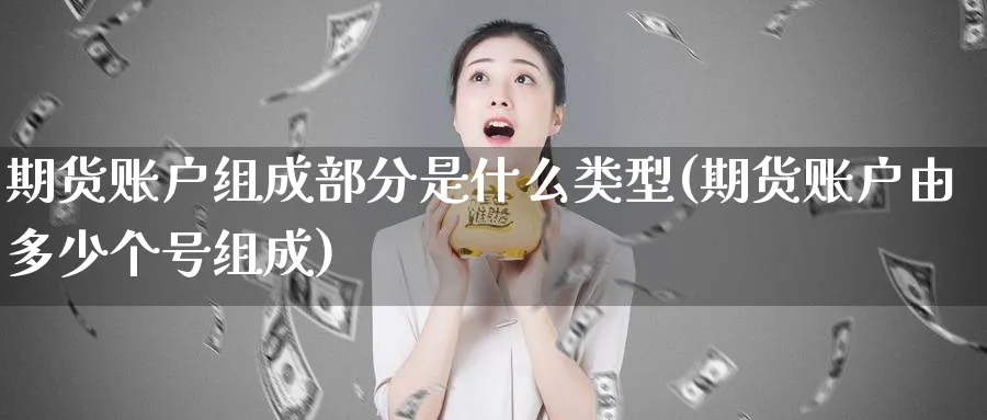 期货账户组成部分是什么类型(期货账户由多少个号组成)