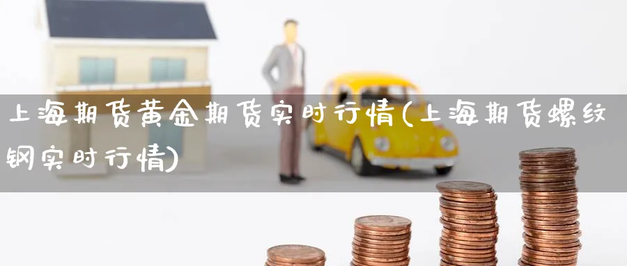 上海期货黄金期货实时行情(上海期货螺纹钢实时行情)