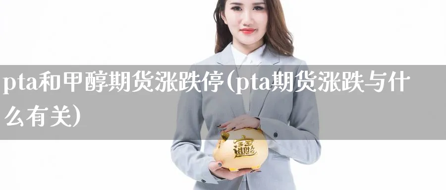 pta和甲醇期货涨跌停(pta期货涨跌与什么有关) (https://www.haizilaw.com/) 化工期货 第1张