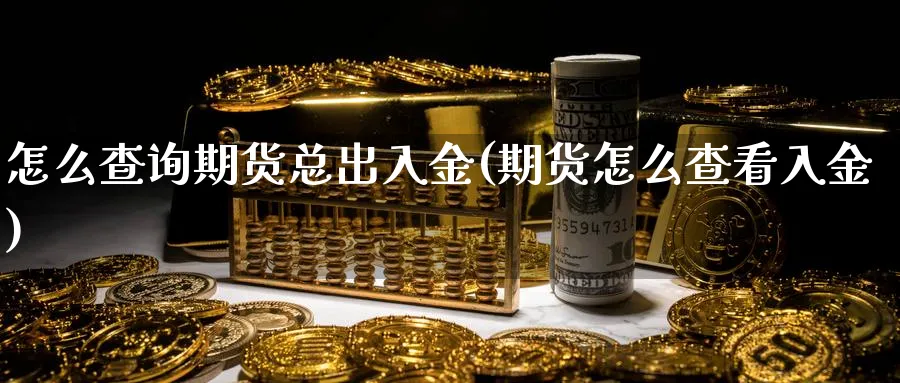 怎么查询期货总出入金(期货怎么查看入金) (https://www.haizilaw.com/) 恒指期货 第1张