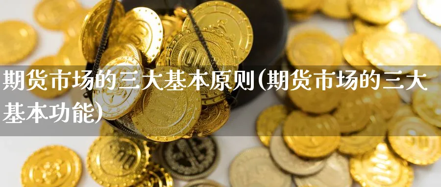 期货市场的三大基本原则(期货市场的三大基本功能) (https://www.haizilaw.com/) 农产品期货 第1张