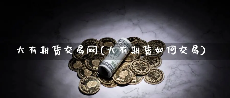 大有期货交易网(大有期货如何交易)