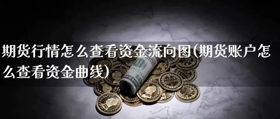 期货行情怎么查看资金流向图(期货账户怎么查看资金曲线)