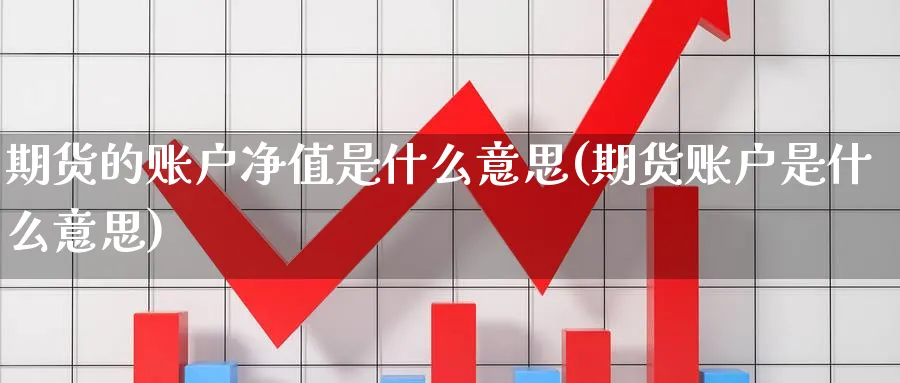 期货的账户净值是什么意思(期货账户是什么意思) (https://www.haizilaw.com/) 化工期货 第1张
