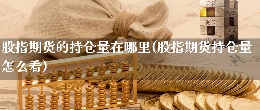 股指期货的持仓量在哪里(股指期货持仓量怎么看)