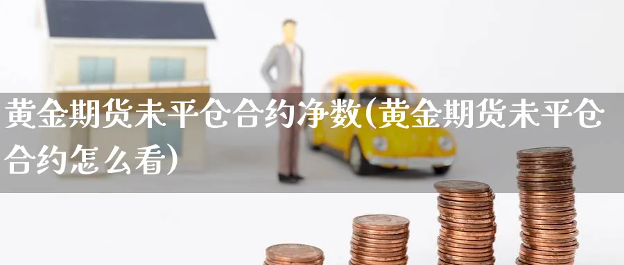 黄金期货未平仓合约净数(黄金期货未平仓合约怎么看) (https://www.haizilaw.com/) 农产品期货 第1张