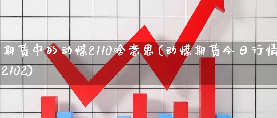 期货中的动煤2110啥意思(动煤期货今日行情2102)